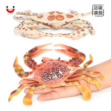 儿童动物玩具仿真海洋生物螃蟹模型海螃蟹超大梭子蟹认知教具摆件