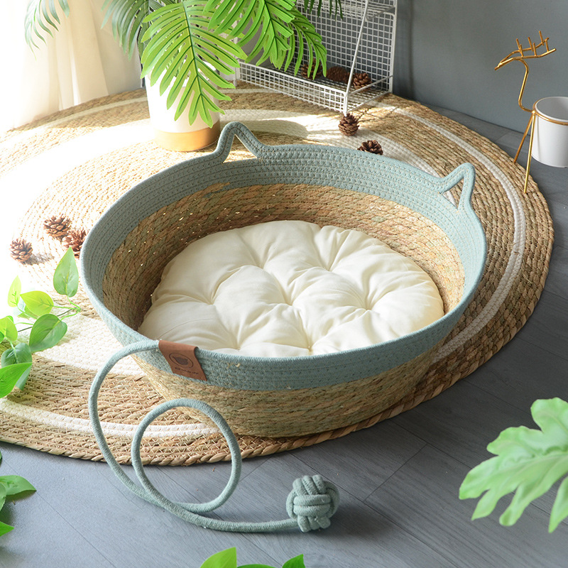 바다색 재미있는 스타일 + 따뜻한 흰색 화장솜