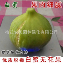 ���ۼt���ğo�������Թ�����Ƥ�A�������t�����ι������໨������