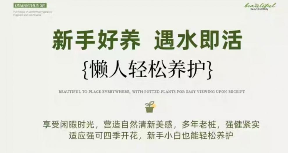 af56d114-0fa5-4c60-9965-50f7e35dca23.jpe