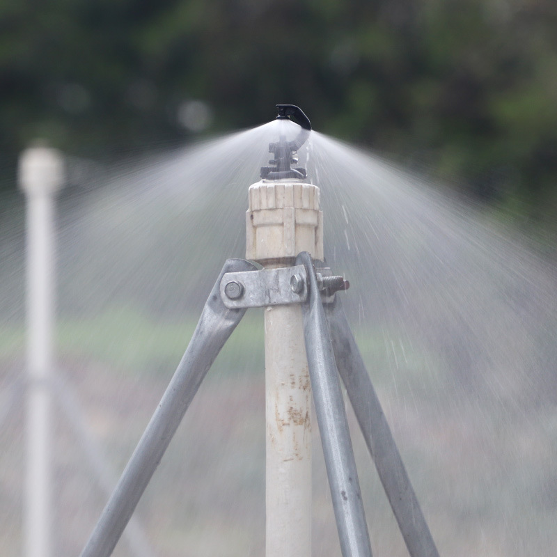 Rose Light Fog no incluye impuestos