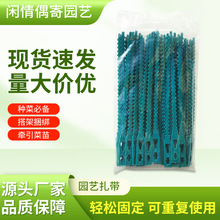 多用途园林绿色绑扎带束线自锁式扎带线园艺鱼骨扎线套装厂家批发