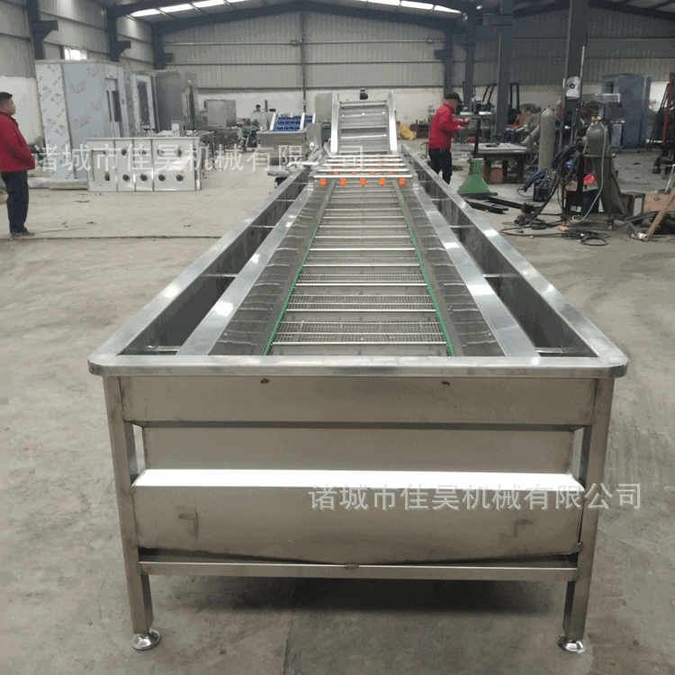 气泡喷淋白菜清洗机 草莓气泡清洗机 果蔬冲浪气泡清洗机佳昊机械