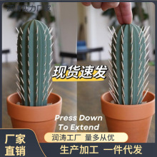 3D打印仙人掌盆栽牙签盒亚马跨境cactus Toothpick dispenser