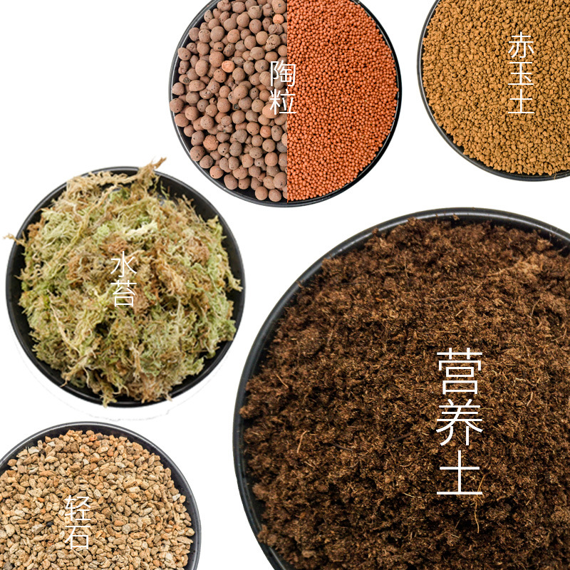 Dry Sphagnum Moss Soil Light Stone Moss Ecological Bottle Micro Landscaping Material Package Micro Landscape Diy Material