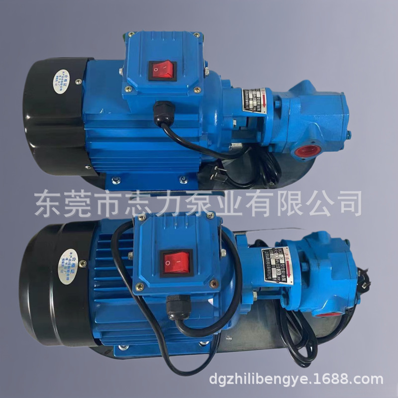 菜籽油花生油调和油手提式油泵WCB-30齿轮泵