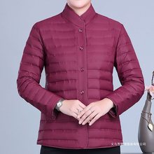 冬季女士轻薄无缝填充立领羽绒服中老年胖妈妈大码贴身鸭绒内胆衣