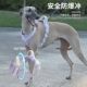 2024 new dog walking chest strap pet traction rope high color explosion-proof vest traction suit wholesale