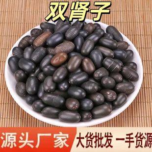 �p�I�� �����ș������ ��ʯɏ�� �^�������ݾ��ϴ��l�p�I��