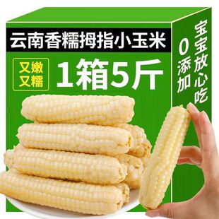 5��������p��{ĴָС���״�����Ŵ��ָ�����������l