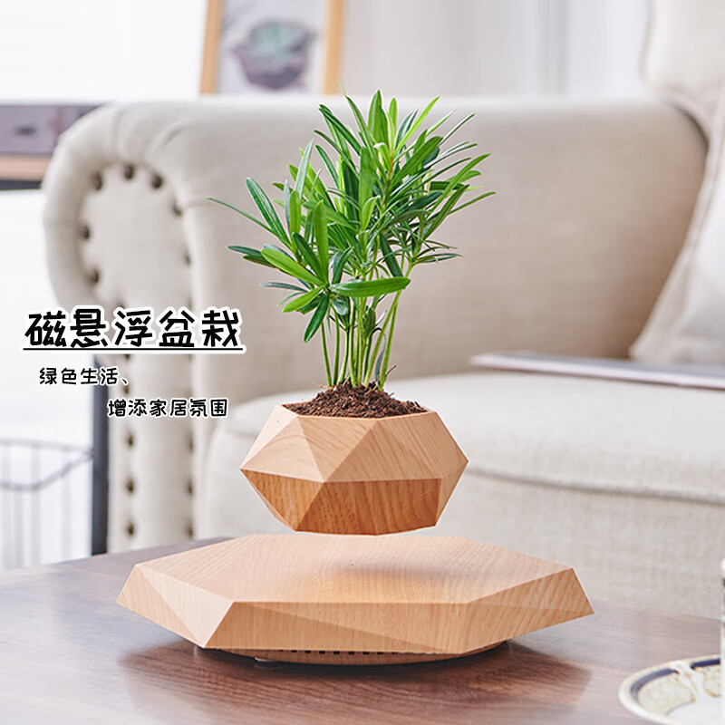 磁気浮上鉢植えの新奇特な植木鉢創意盆栽工芸品プレゼント教師の日プレゼント客間置物卸売り|undefined