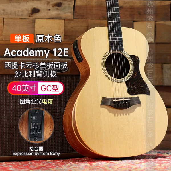 [22_Academy 12E 电箱]