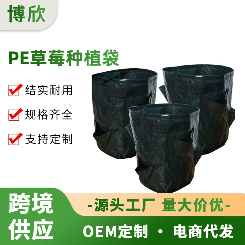 Ebay Амазонка через границу 3,6 рта 8 рта клубники мешок для посадки Многодневный мешок для растений PE ванильный мешок цветной мешок для посадки