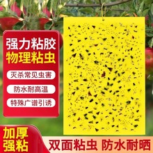 �p��ճ�x���T�x���N����С�w�xմ��ω�T���������Bֳ���x��������