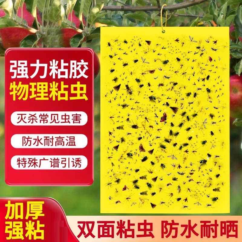 双面粘虫板诱虫板贴纸灭小飞虫沾果蝇诱捕器户外养殖防虫灭蚊神器