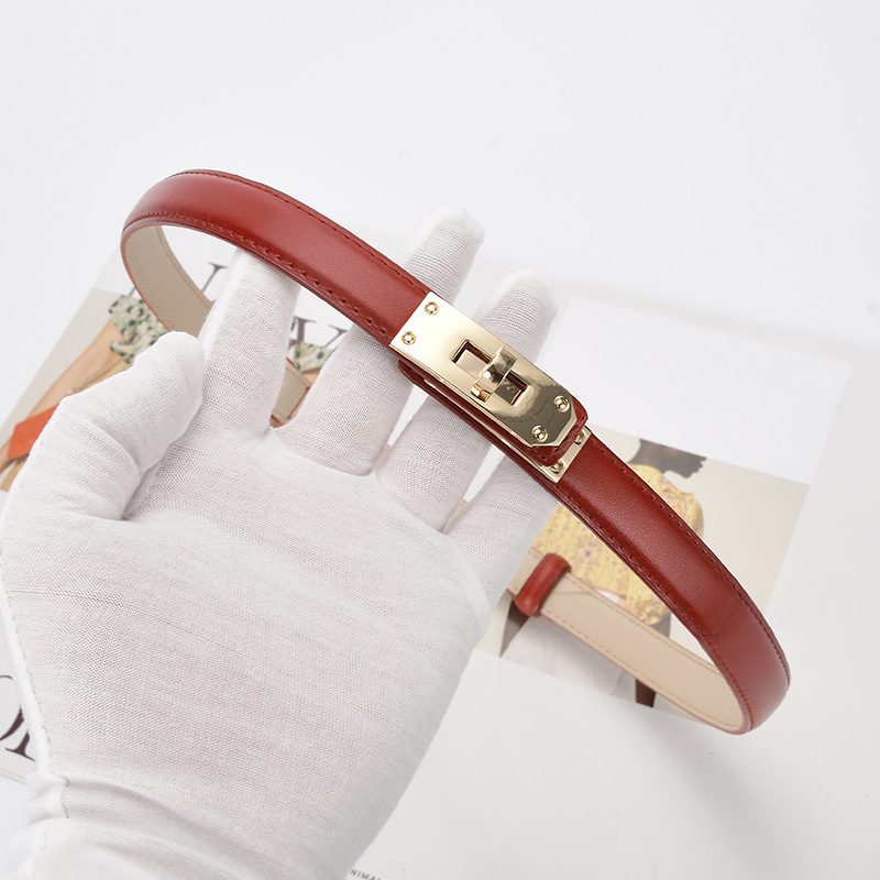 2024 New Fashion and Casual Versatile Women's Thin Belt High Grade Women's Belt Skirt Casual Pants Waist Tie Slimming Lock Buckle Belt_voghion.com