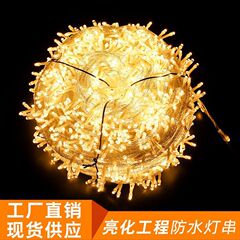 LEDストリングライト屋外星空ライトクリスマスウェディングストリングライトホリデーデコレーションライト点滅ライト屋外照明プロジェクト