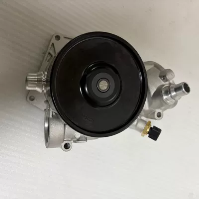 Water pump Bmw Water