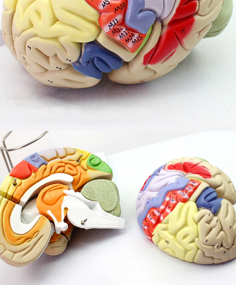 O1CN01FFNXvs2Kk6Xa8yhkj_!!3578