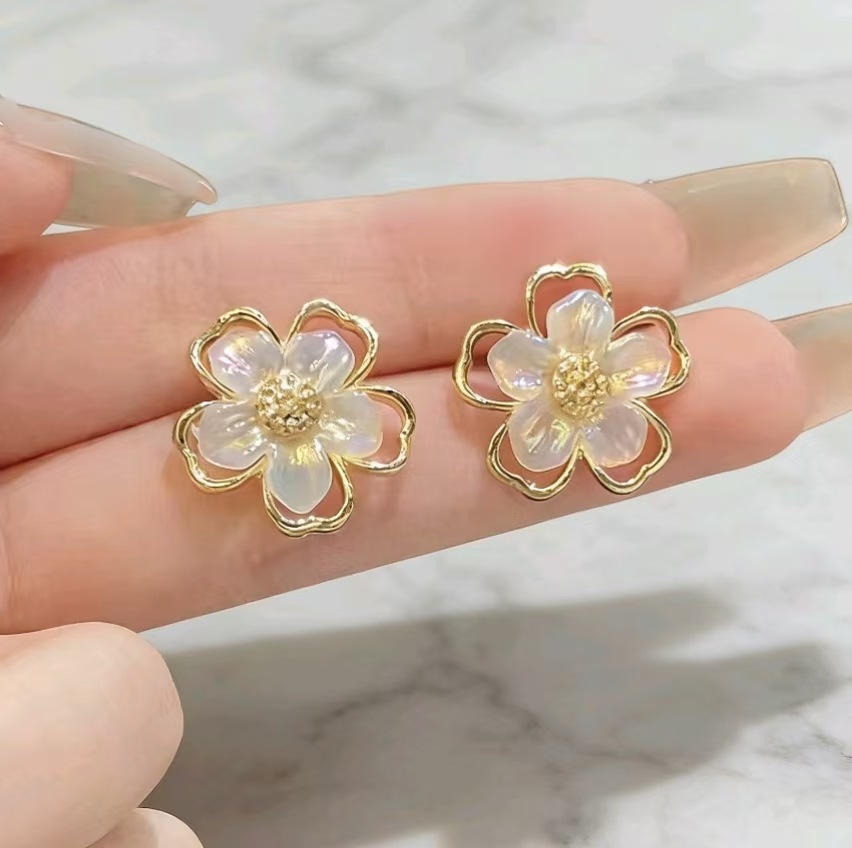 微信图片_20260310161334_879_12