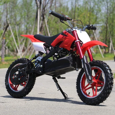 Electric Children's Off-Road Vehicle 36V500W Motorcycle Mini All-Terrain 2-Wheel 10inch Large-Wheel Mountain Bike (Elektrikli motosikletlər) - red-24v-250w