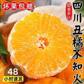 四川丹棱不知火丑橘当季新鲜水果整箱橘子丑八怪