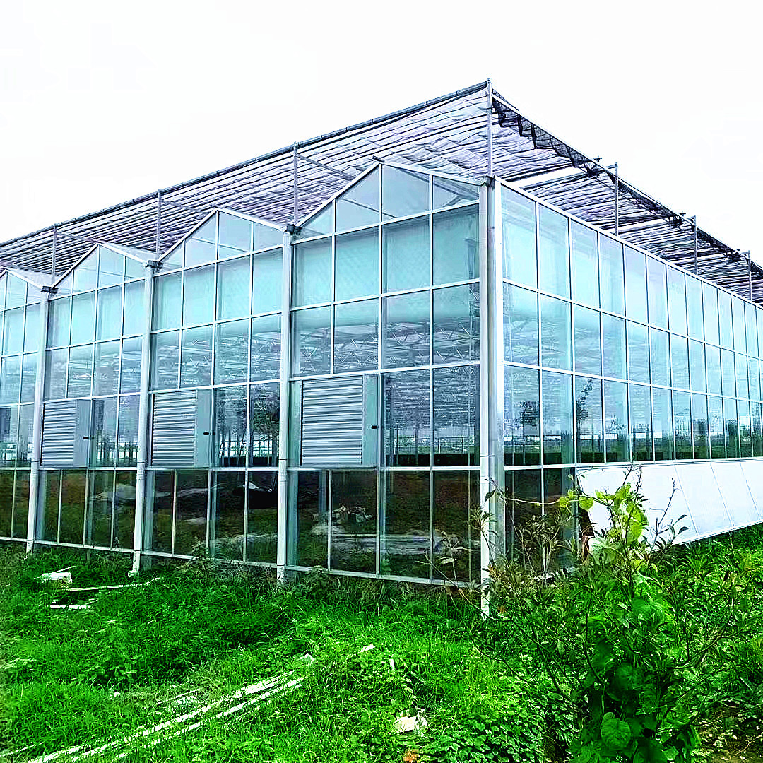 厂家制售智能温室大棚  钢结构大棚  活动房