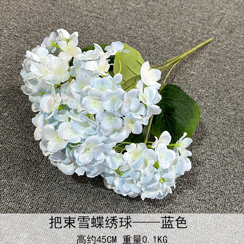Paquete de Hortensias Mariposa de Nieve, Azul