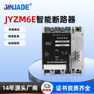 Jinyu Plastic Shell Circuit Breaker Jyzm6E-250 Instant Dual Control Water Resources Intelligent Circuit Breaker