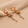 Golden earrings stainless steel, jewelry, European style, does not fade, pink gold, wholesale