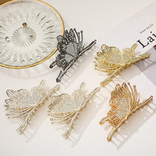 �F؛�¿��ɫ����ץ�A�߼��к��X�ױP�l�AС�����|���~�A���^�Ů