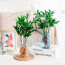 ����͸��ˮ��ˮ�Bֲ�ﻨ��G�}�~�X�ݷ²�����ƿ���Ϙ�֬�[�����l