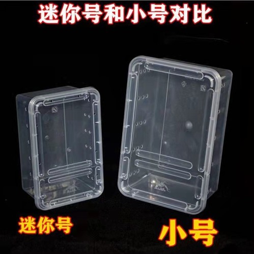 Mini-sized wholesale box for reptile and invertebrate keeping: terrariums for horned frogs, spiders, insects, as well as breeding boxes for snails and silkworms.