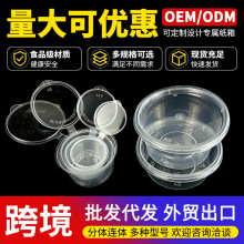 һ�����u�ϺЎ��wpp���|25����P1P2P4���Q�羳����͸���B�w�u�ϱ�
