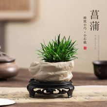 仿石菖蒲植物花盆创意陶瓷异形家用室内盆栽盆桌面绿植摆件带托盘