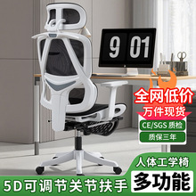 ���w���̌W����̩���k���ξ�����X�����w���W���ӾW�����e�����b