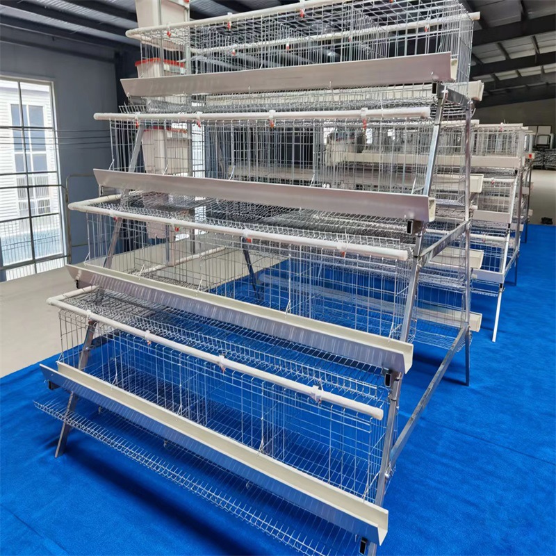 Galería de huevos multicapa Galería de huevos galvanizada en frío