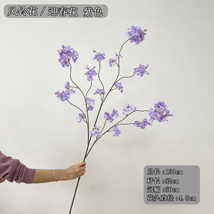 С���p�ݷ��滨 2025���¿�ӭ���� �Sɫ�h�����ͻ��Ľ������|�L�