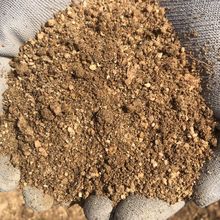 ȻLɰmsľ辰GֲmSGɰ͸IBͨ