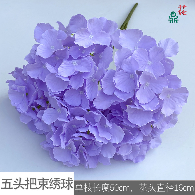 Five -headed hosem LS purple
