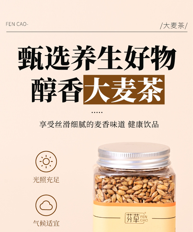 Roasted Barley Tea Da Mai Cha 350g Canister Sugar Free Nutty Brewed Grain Tea overview