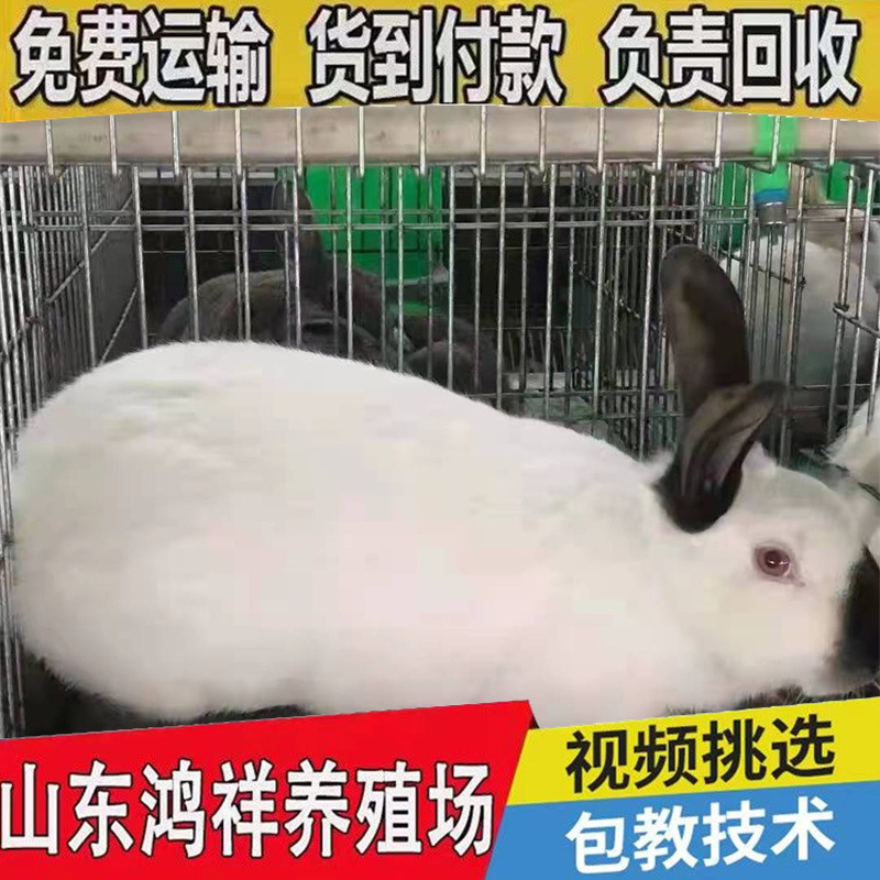 d1a80144c6af43839f3b4e16dababe