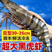 黑虎虾新鲜超大特大基围虾冷冻大虾斑节虾九节虾深海捕捞海鲜水产