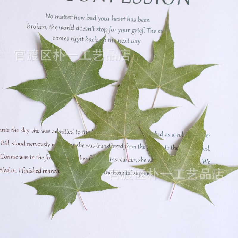 녹색 자연 색상 조각