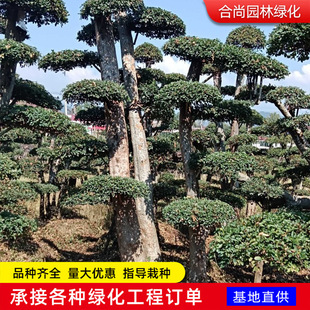 �������l�������ܘ� Ҏ����@�־G���������͘� �F�ڬF�u��������