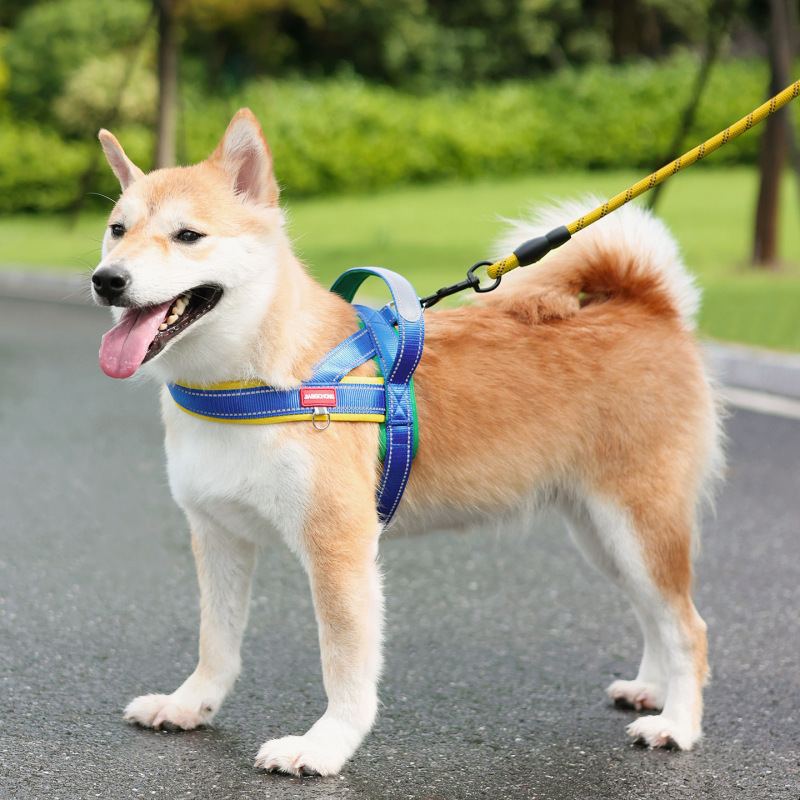 马鞍式狗狗牵引绳中小型犬比熊防挣脱遛狗绳泰迪宠物胸背带遛狗链|undefined