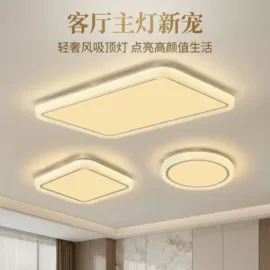 吸顶灯;吊灯;风扇灯