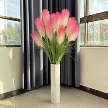 L0V����Gֲ�����JȔ�ݿ͏d�[���ٻ���ظɻ���䁾W�tֱ���g�b�