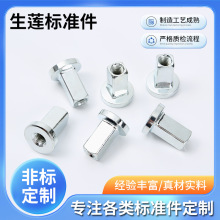 �ǘ�T�̓����ݼy ��D��Ӷ��� T����˨���m��ĸ����܇�������l