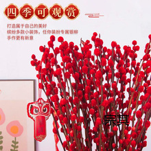 �����y���r֦������������ˮ��ֲ��ɻ��tɫ�y���͏d�b�